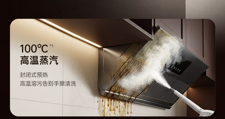 Hogedruk stoomreiniger, multif - Kitchen Appliances For Home recensie en prijs